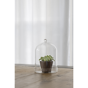 Bell Jar Glass with bowl