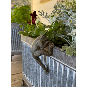Pot hanger frog