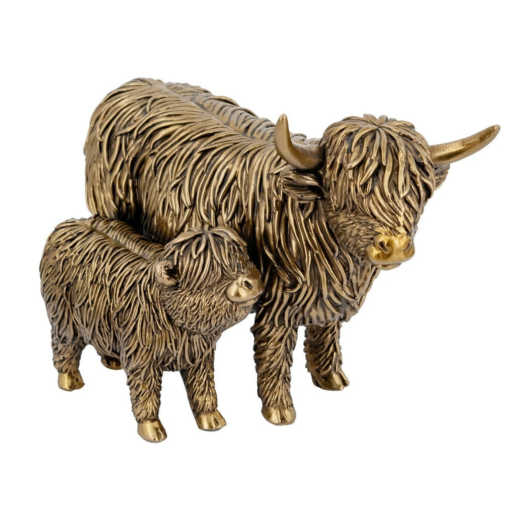 Highland cattle and calf