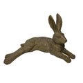 Pecan  Country Hare Junior resting