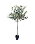 Olive tree 95cm