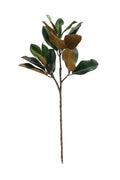 Magnolia Leaf Spray 73cm