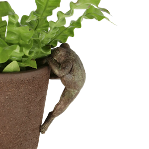 Pot hanger frog