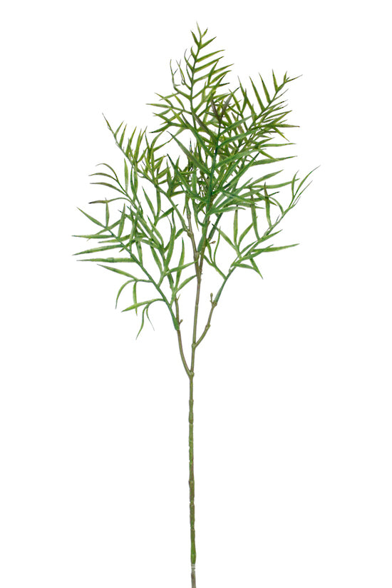 Grevillea Leag Spray 61cm