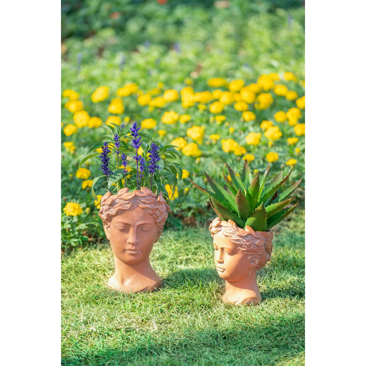Terracotta visage head planter Large