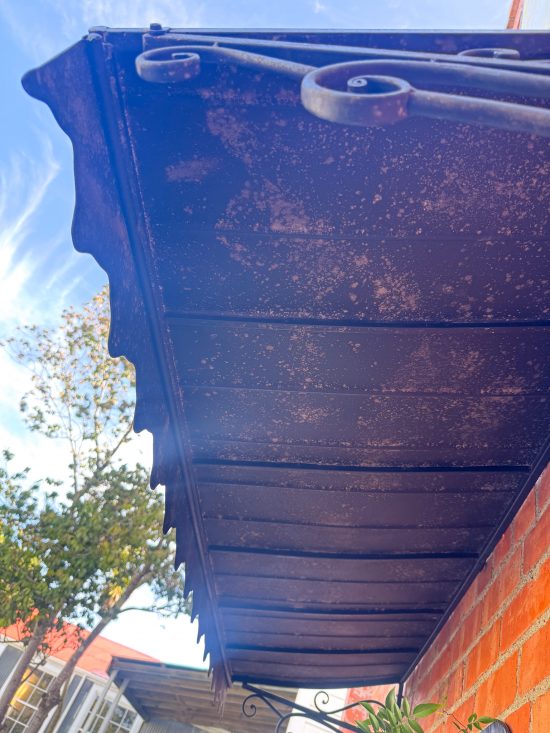 French black canopy