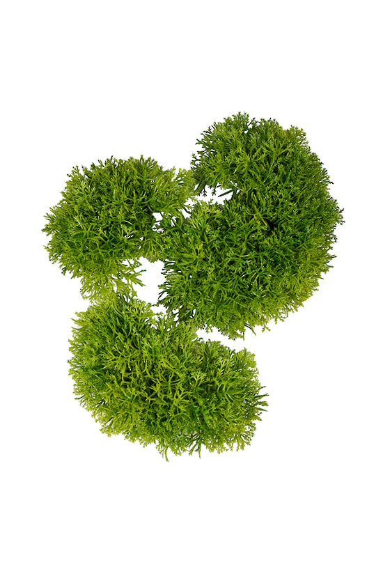 Moss shapes - Asorted
