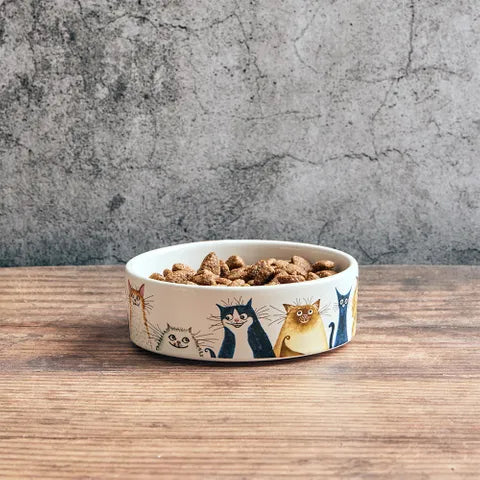 Wags to Whiskers Cat Bowl