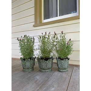 Mabel Leaf Planter