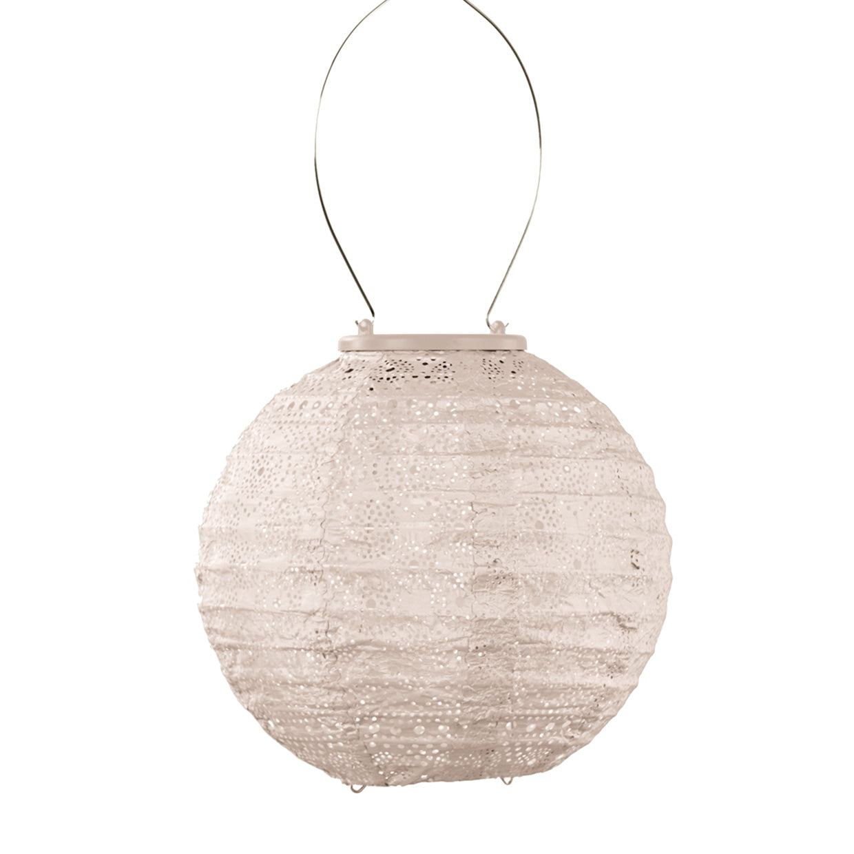 Lantern  tulip 20cm Soft Blush Spectare