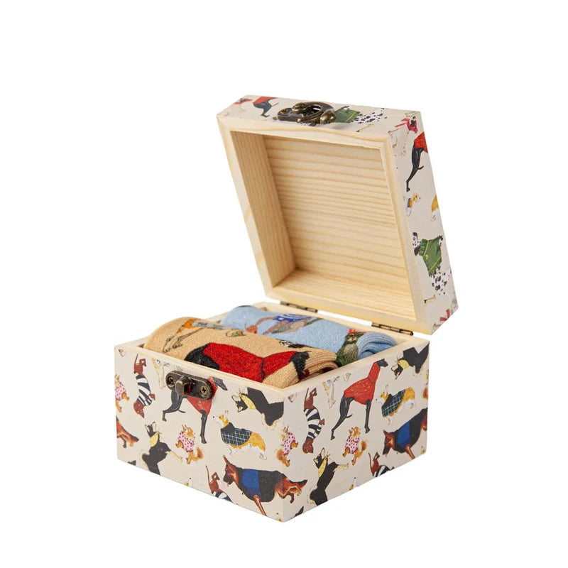 Raining Cats and Dogs Sox gift box