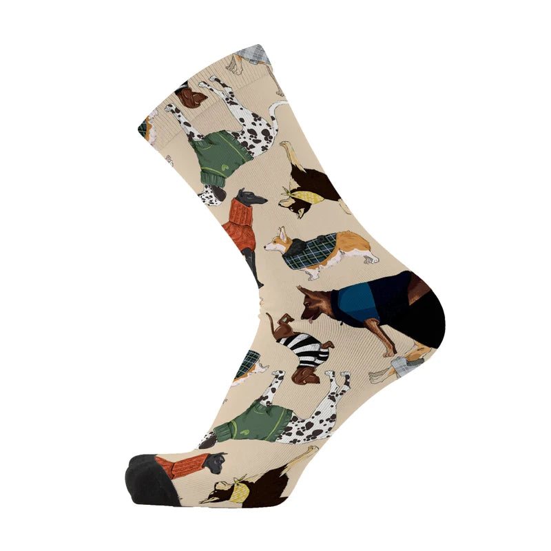 Raining Cats and Dogs Sox gift box
