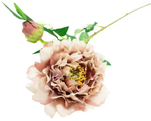 70cm Peach peony antique blush