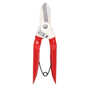 Branch pruner stainless