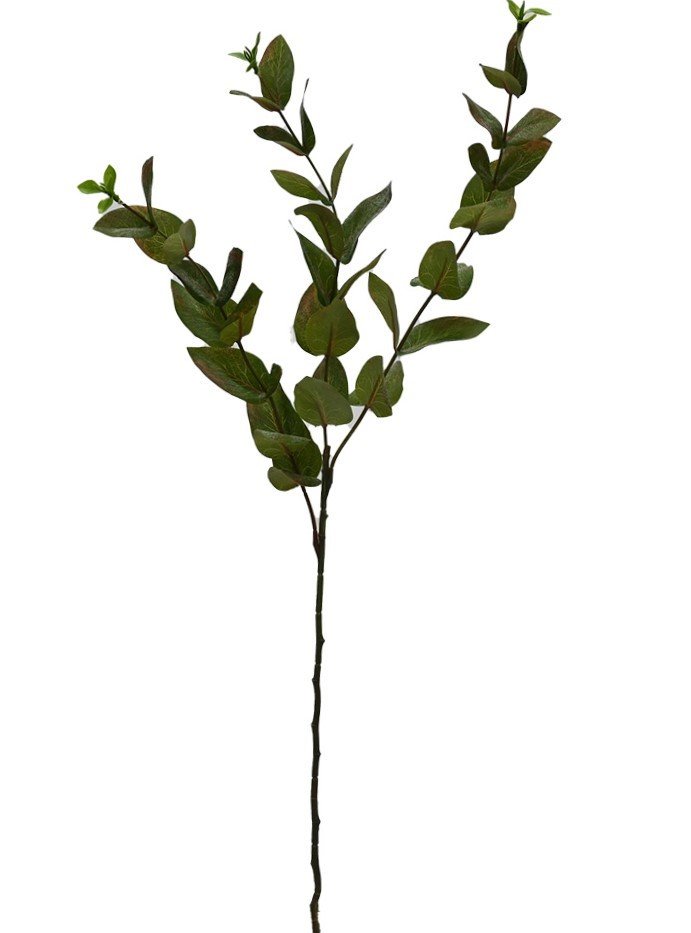 Beech Leaf Spray - Hunter Green