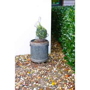 Topiary Frame - Rabbit