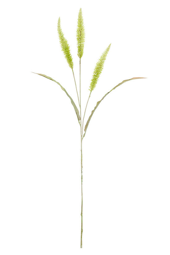 Fountain Grass 94cm Sage Green