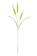 Fountain Grass 94cm Sage Green