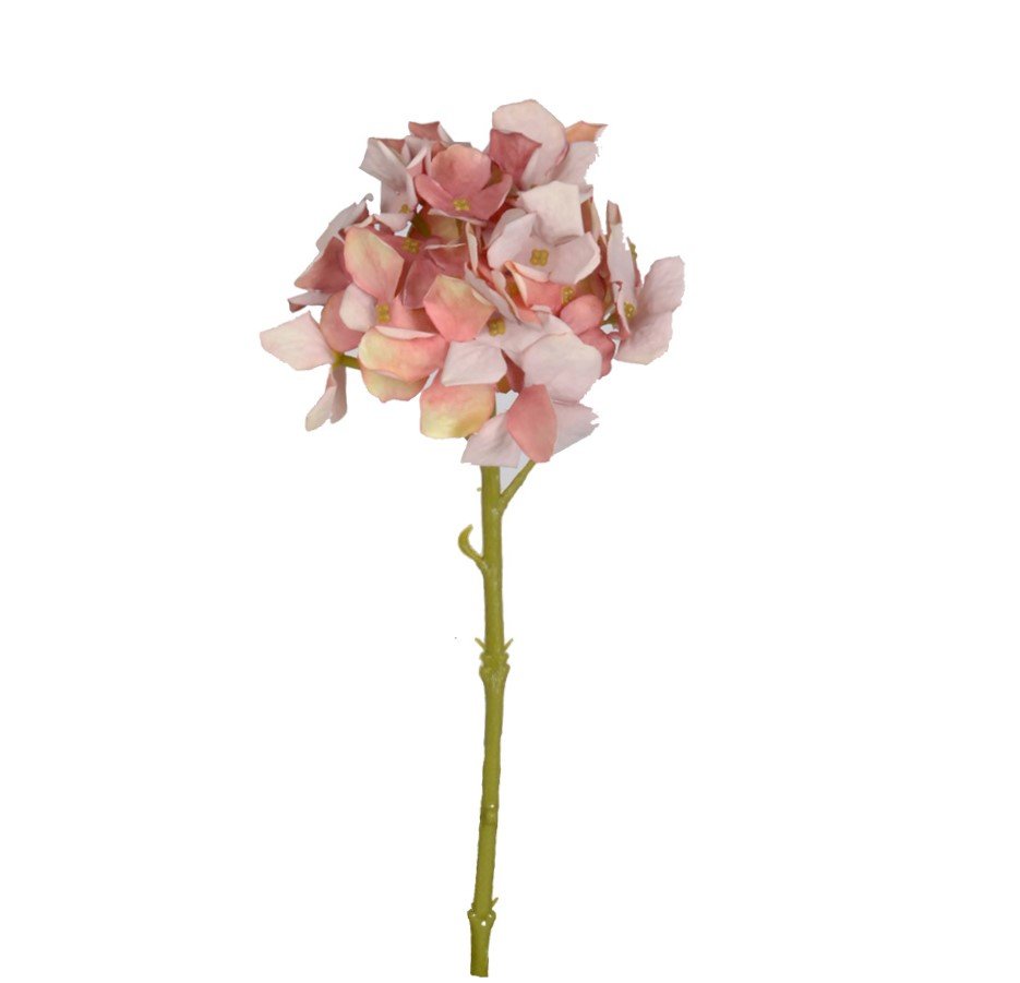 Petite Hydrangea Mixed Pinks