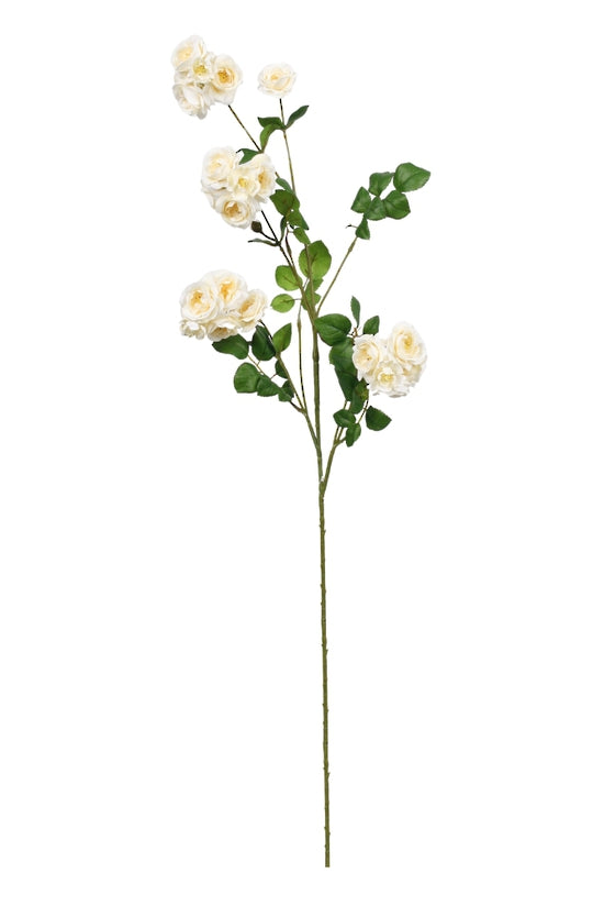 Wild Rose Spray - Cream 97cm