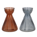 Bulb Vase Hyacinth - Assorted