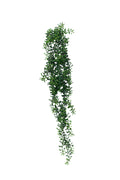 Crescent hanging succulent 74cm