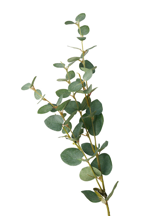 Eucalyptus Spray 80cm Green