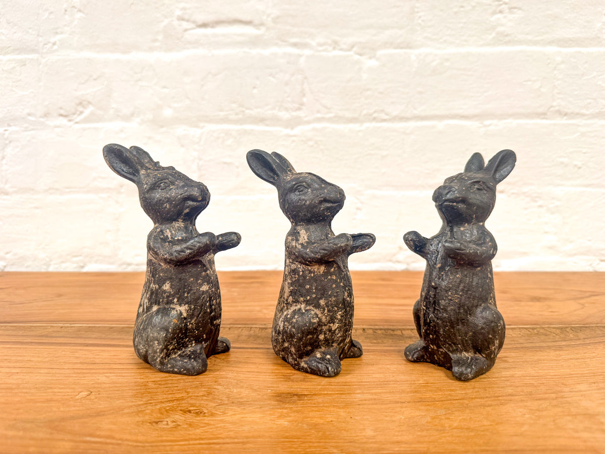 Metal Bunny
