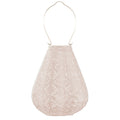 Lantern  tulip 20cm Soft Blush Lace