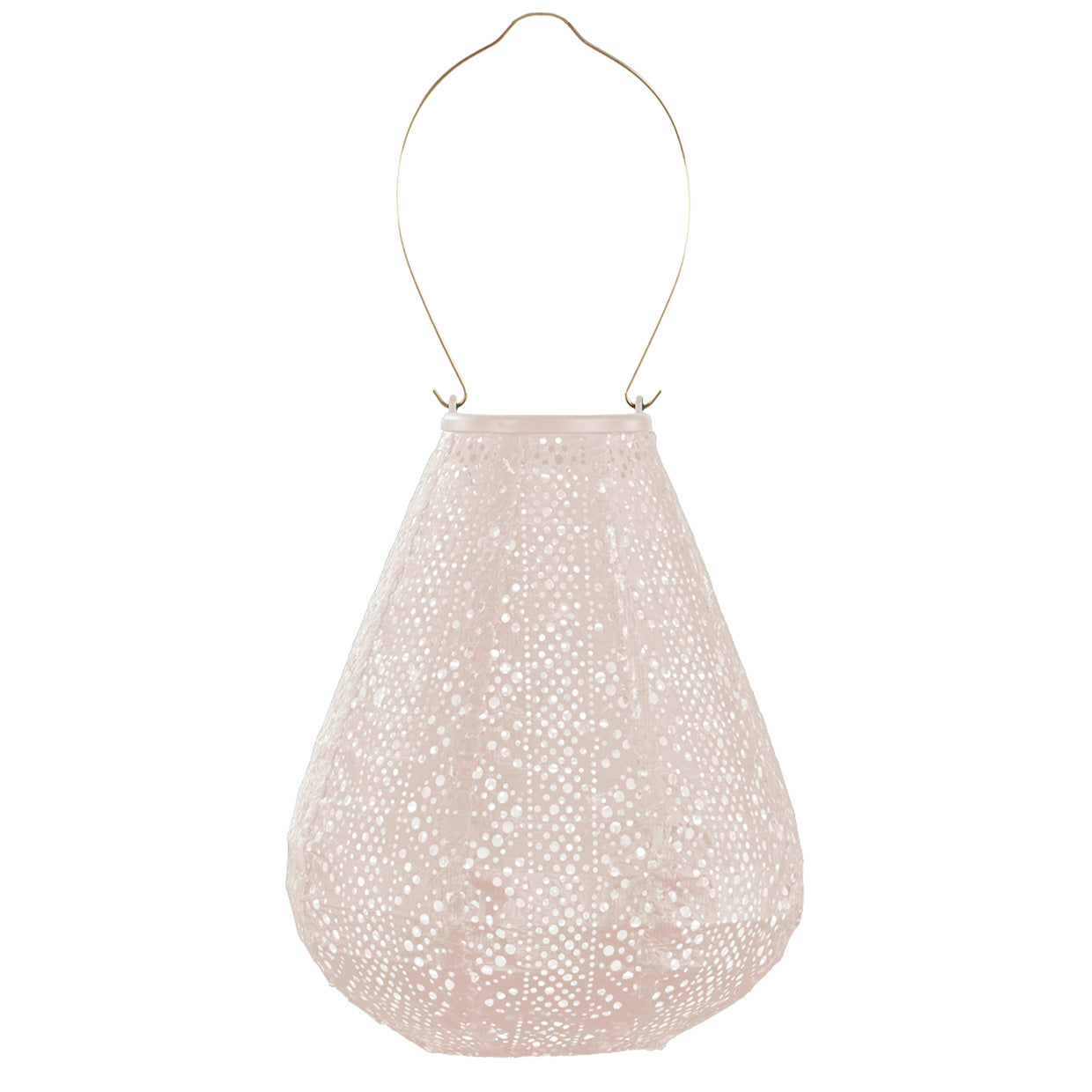 Lantern  tulip 20cm Soft Blush Lace