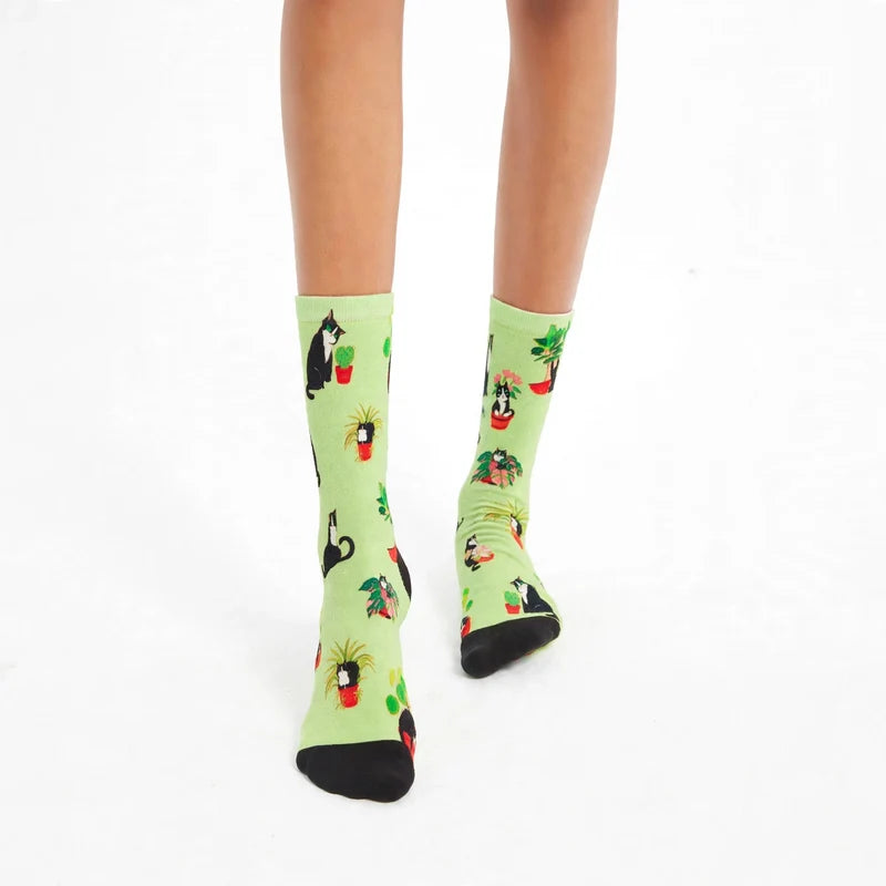 Cats and Plants Sox