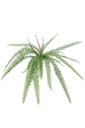 Fishbone Fern With Koru 61cm