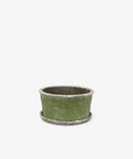 Evergreen Wide Pot and Saucer - Small