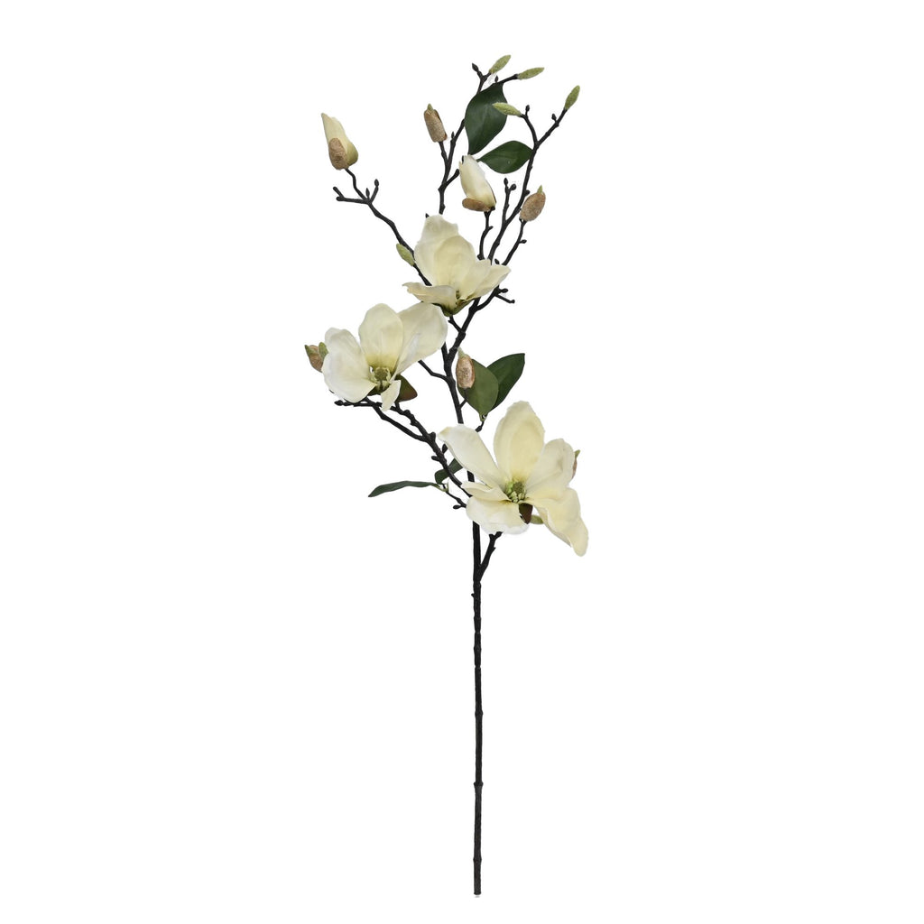 Magnolia Branch - Cream