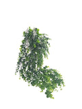 Hanging Eucalyptus green/grey 82cm