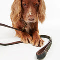 Barbbour Tartan Dog Lead