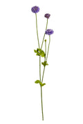 Pom Pom Purple  x 59