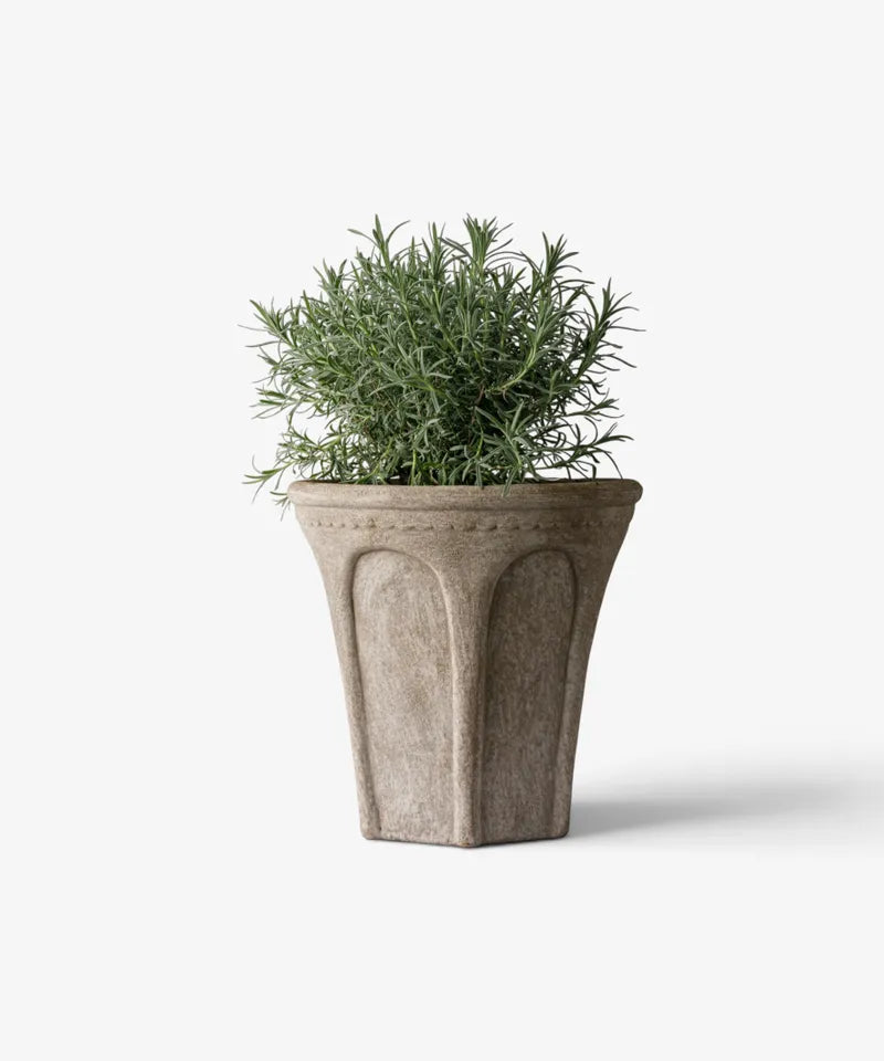 Terra arc planter medium