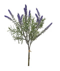 Tuscan Lavender Bundle