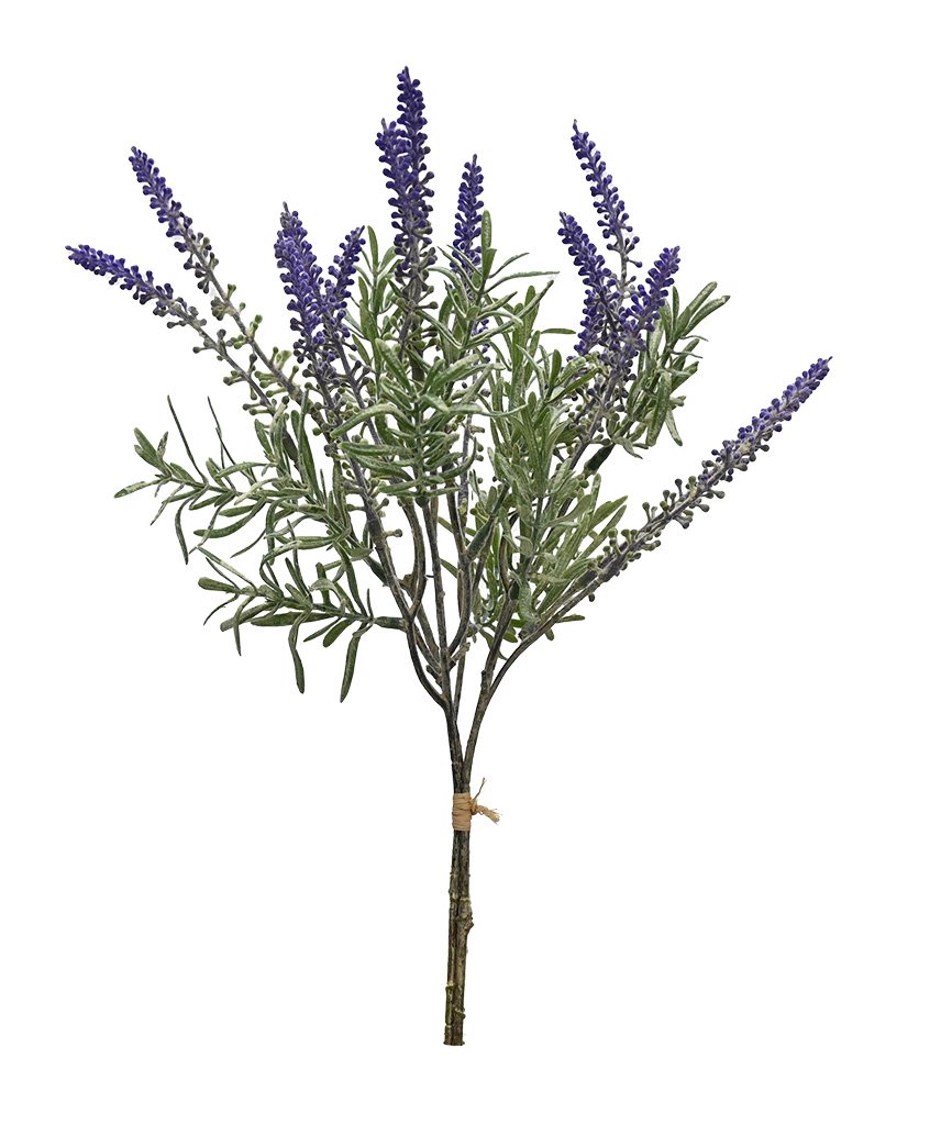 Tuscan Lavender Bundle
