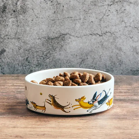 Wags to Whiskers Dog Bowl - Small