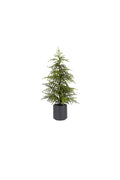Soft Pine Tree RT Potted 91cm