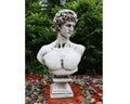 Fibre Clay David Bust