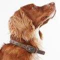Barbbour Tartan Dog Collar - Small
