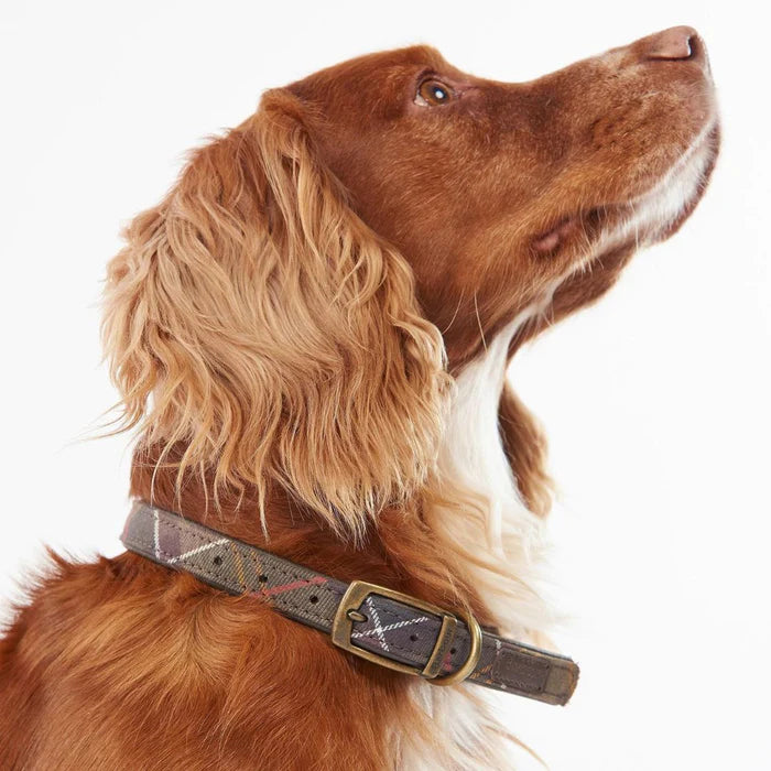Barbbour Tartan Dog Collar - Small