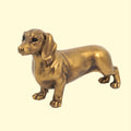 Gold Dog