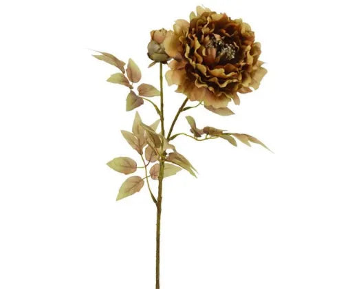Dried look Peach Peony Coffee 70cm