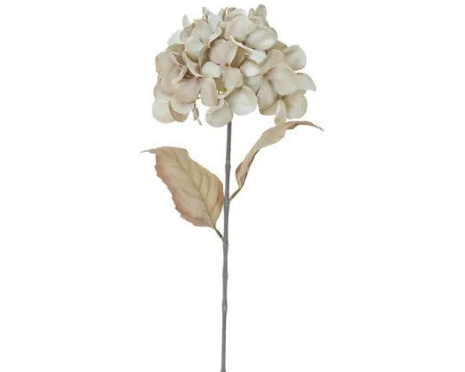 Dried Look Hydrangea Oyster Pink 70cm