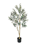 Olive tree 140cm