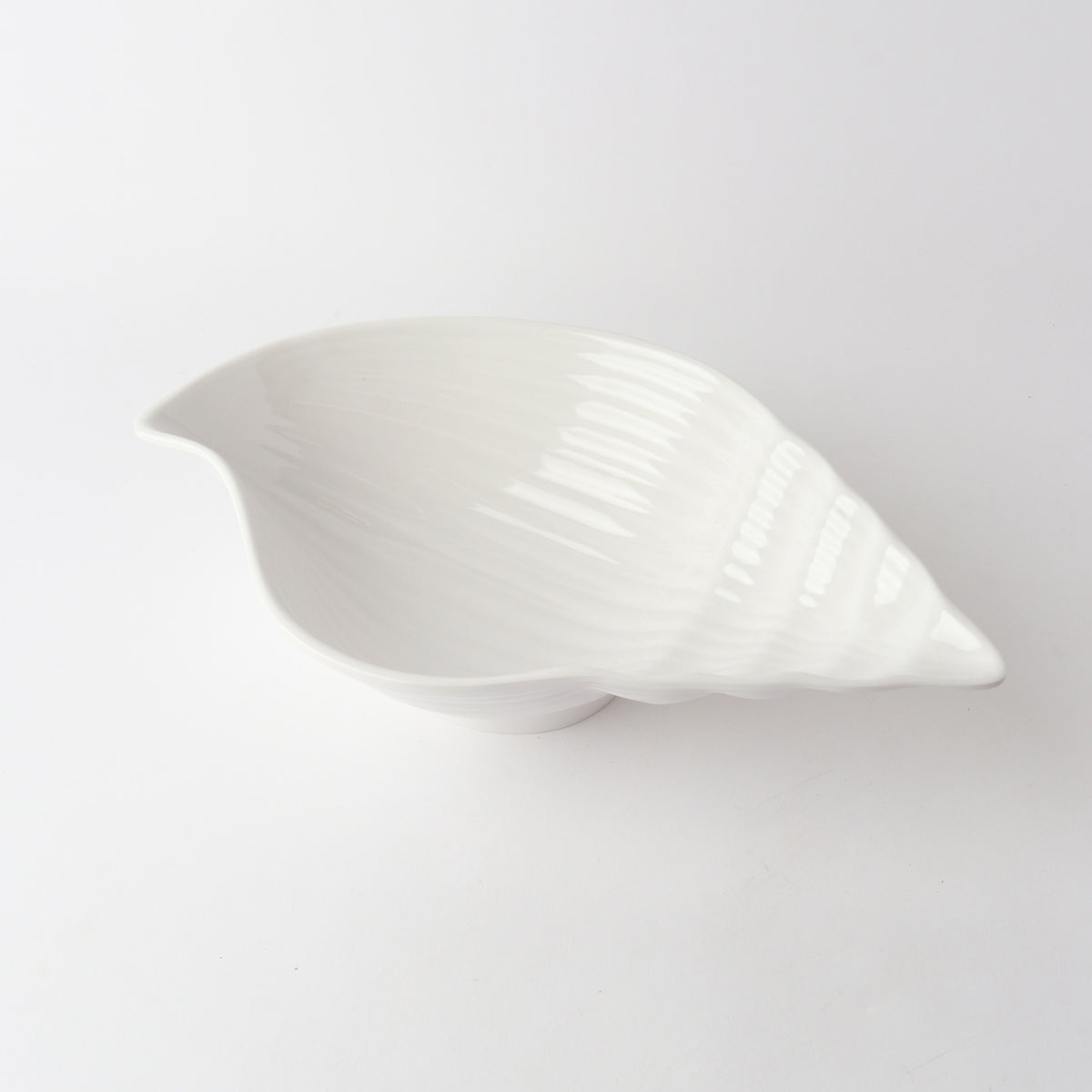 Melamine Conch shell - White